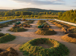  Пивзавод превратят в новый полигон для растительных отходов в Цимлянске