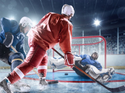 Любители хоккея завершат зимний сезон товарищеским матчем в Волгодонске