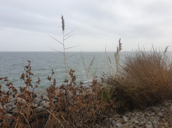 В понедельник Волгодонск ожидает маловероятный дождь