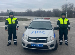 Отогрели, напоили чаем и отправили домой: полицейские помогли попавшей в ДТП под Волгоградом волгодончанке