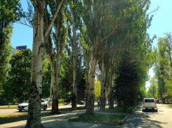 Жара и ветер до 18 м/с ждет Волгодонск в последний четверг лета 