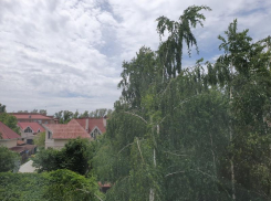 Легкий ветер и небольшой дождь ожидаются в Волгодонске сегодня