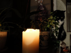 На рынке «Машенька» и в пиццерии «Камин» произведут отключение электроэнергии