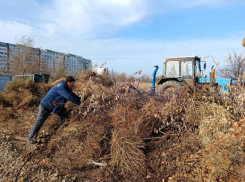 Волгодонск продолжают приводить в порядок