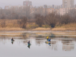 Плюсовая температура им не страшна: рыбаки-экстремалы вновь замечены в акватории залива в Волгодонске