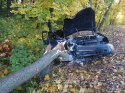 Водитель «Приоры» насмерть разбился на автодороге Ольгинская-Волгодонск