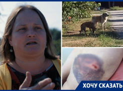 «Такую собаку нужно только умерщвлять»: волгодончанку в районе налоговой снова сильно покусали собаки