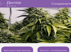 Жителям Волгодонска через мобильное приложение Viber приходит реклама наркотиков
