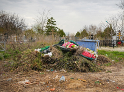 Прокуроры обнаружили 42 свалки на кладбищах Волгодонска