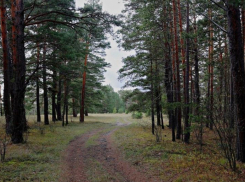 С 6 апреля в Волгодонске начнется пожароопасный сезон