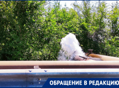 Коммунальный фонтан на Путепроводе бьет уже несколько часов