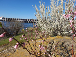До +14 градусов прогреется воздух в Волгодонске сегодня 