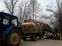 Волгодонцев призывают подключиться к уборке города
