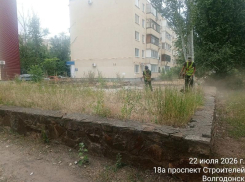 Траву покосили, мусор убрали: коммунальщики привели в порядок территорию за сквером «Казак»
