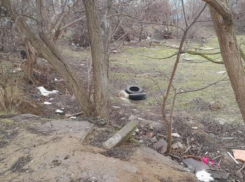 Крупного мусорщика разыскивают инспекторы в Волгодонске 