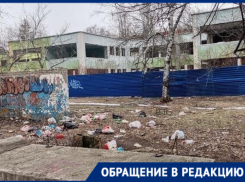 «Горожане сами создают вокруг себя свалку»: волгодончанка 