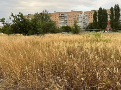 Пожароопасный пустырь на ВЦ-1 оказался в частном владении 