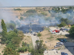 Трава загорелась в опасной близости от машин и детского сада в Волгодонске