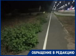 «За лето траву не косили ни разу!»: жители просректа Лазоревого требуют очистить территорию от зарослей