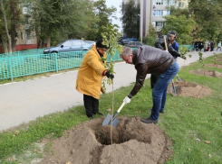 Андрей Иванов посадил дерево на окраине Волгодонска