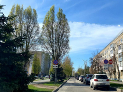 До +15 градусов прогреется воздух в Волгодонске сегодня