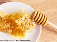 Сладкий праздник души и тела: «Медовая лавка» приглашает на Медовый Спас 