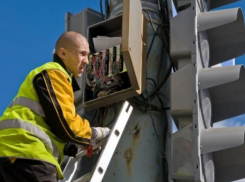 Разросшиеся деревья в переулке Западный стали причиной отключения светофора на проспекте Строителей перед волгодонским путепроводом