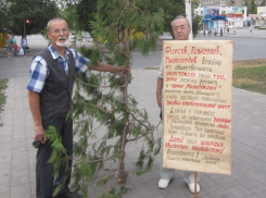 В Волгодонске «зеленые» пикетируют администрацию города и пешеходный переход