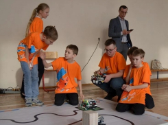 В Волгодонске пройдет отборочный этап международного фестиваля робототехники «РобоФинист»