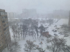 В Волгодонске зафиксировали рекорд влажности воздуха