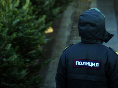 Драки, разбой и кражи стали основными преступлениями в новогодние праздники в Волгодонске