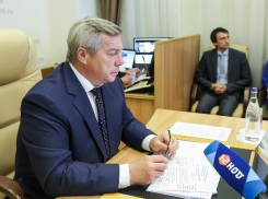 Губернатор Голубев обсудил проблемы хуторян Волгодонского района в интерактивном режиме 