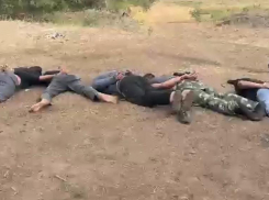 Пришлось задействовать Росгвардию: была задержана банда цыган-скотокрадов