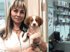 Паразиты, собачьи свадьбы и мартовские коты: как помочь животным весной