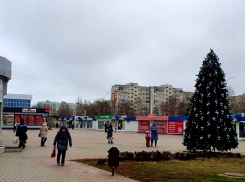 До +7 и сильный ветер: о погоде на понедельник 