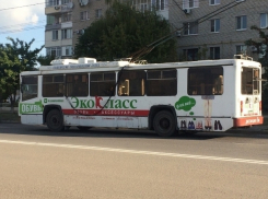 Ездят когда хотят, а нам стой и мерзни на остановках, - волгодонцы о движении троллейбусов