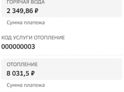 В ВТС прокомментировали двукратное завышение стоимости отопления в январе