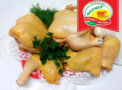 Побалуй себя домашней курочкой и мясными полуфабрикатами от магазина «Фермер»