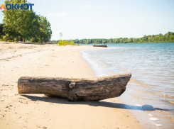 Жарко и сильный ветер: какая погода будет в Волгодонске в День беспорядка