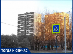 Волгодонск тогда и сейчас: когда дубы в «Дубравушке» были ниже в 2 раза