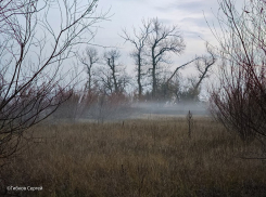 Облачно, но осадков нет: о погоде в Волгодонске в четверг