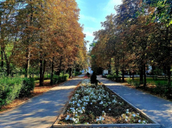 Сильный ветер подпортит волгодонцам настроение во вторник