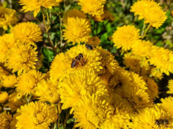 В четверг волгодонцам советуют воздержаться от долгого нахождения на улице 