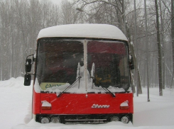 Непогода привела к отмене движения дачных автобусов в Волгодонске