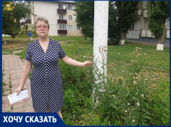«Целый месяц косят траву, уже вырос метровый чертополох»: волгодончанка о благоустройстве спортплощадки в ЮЗР 