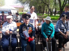 Пешие прогулки с ветеранами провели «серебряные» волонтеры Волгодонска