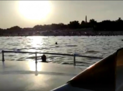 «Да здесь три метра всего»: заплывающие за буйки рискуют погибнуть от водных аттракционов