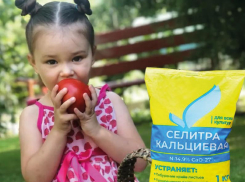 Без кальциевой селитры хороший урожай не соберешь