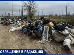 «Свиньи в человеческих масках» за сутки воссоздали свалку за В-9