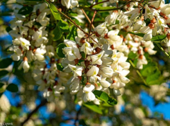 В Волгодонске будет жарко и солнечно